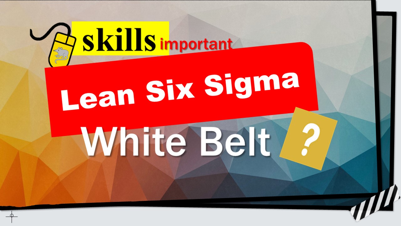 LEAN SIX SIGMA - WHITE BELT